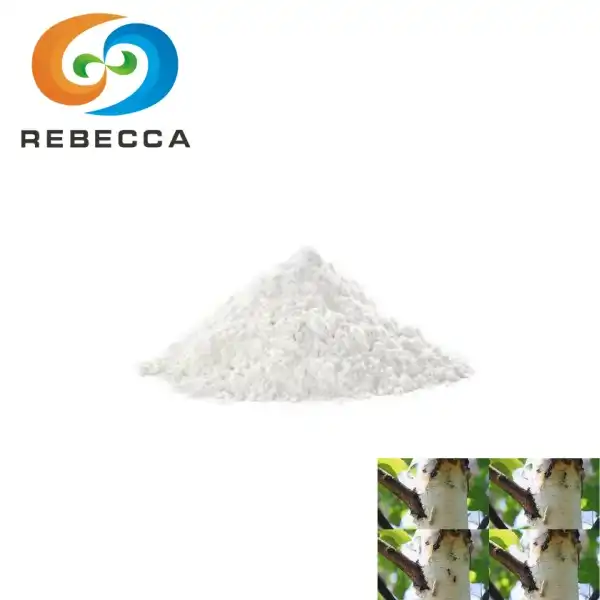 Betula Alba Birch Bark Extract